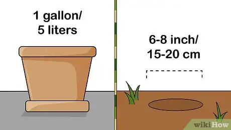 Image titled Grow Alstroemeria Step 5