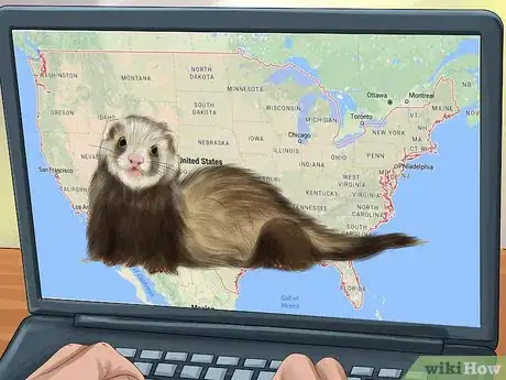Image titled Buy a Ferret Step 1