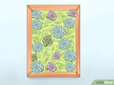 Image titled Display Succulents Step 7