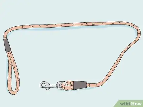 Image titled Walk a Dog on a Leash Step 1