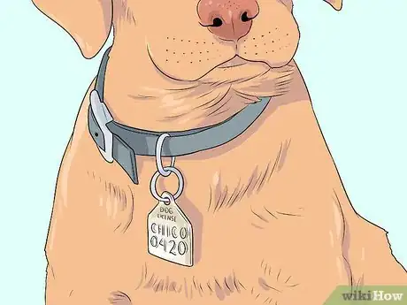 Image titled Look After Your First Puppy Step 9