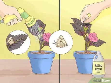 Image titled Plant Begonias in a Pot Step 9