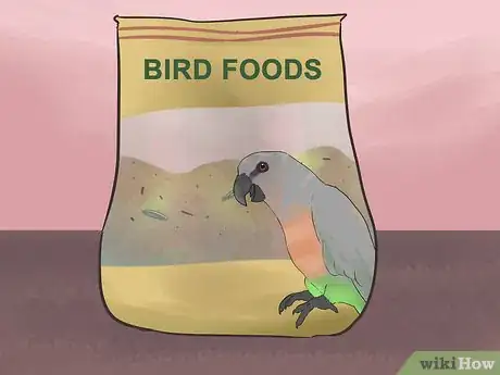 Image titled Feed a Red Bellied Parrot Step 1