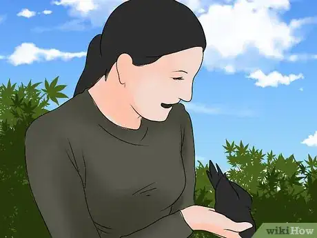 Image titled Hunt Blackbirds Step 5