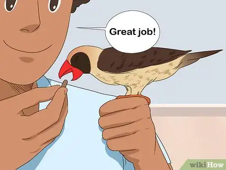 Image titled Handle a Scared Red Bellied Parrot Step 12