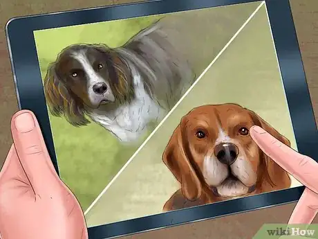 Image titled Choose an Apartment Dog Step 2