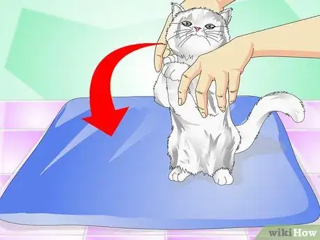 Image titled Give Cats Liquid Medicine Step 4