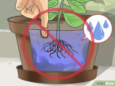 Image titled Bring Plants Indoors over Winter Step 9