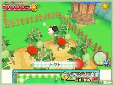 Image titled Marry Neil in Harvest Moon (ANB) Step 9