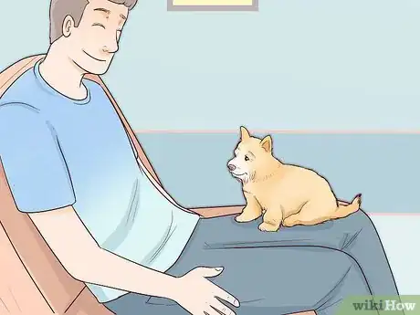 Image titled Choose a Small Dog Step 1