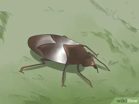 Image titled Control Whiteflies Step 1