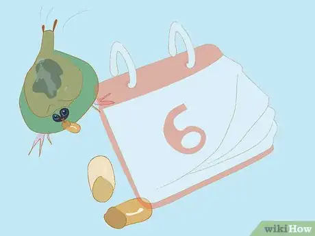 Image titled Set up a Billabong Bugs Kit Step 13