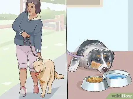 Image titled Handle a Dog Given to You As a Gift Step 2