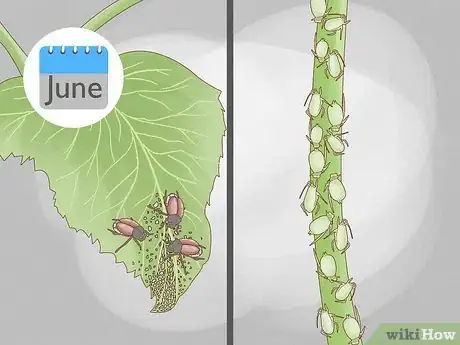 Image titled Reduce the Use of Pesticides in Farming Step 9