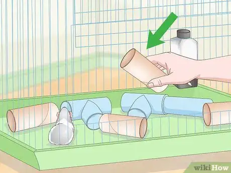 Image titled Train a Hamster to Run Through Tunnels Step 11