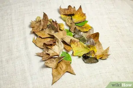 Image titled Decorate with Leaves Step 12