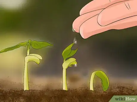 Image titled Grow Dahlias Step 11