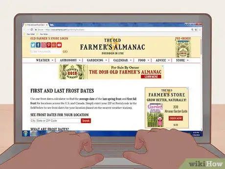 Image titled Grow Roma Tomatoes Step 5