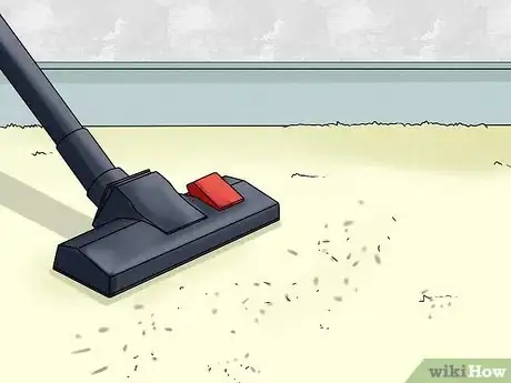 Image titled Spot and Treat Feline Asthma Step 7