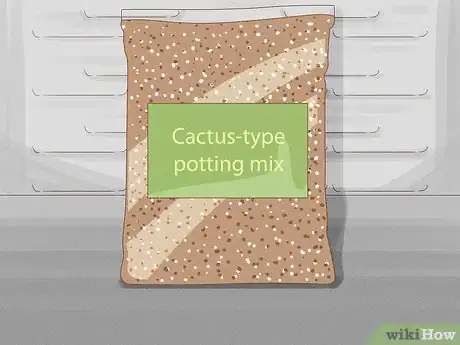 Image titled Grow a String of Pearls Step 3