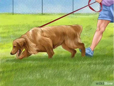 Image titled Choose a Dog Fence for Your Yard Step 18