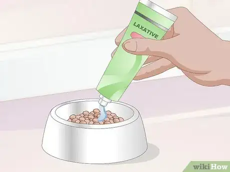 Image titled Keep a Cat Healthy Step 30