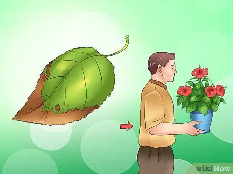 Image titled Winterize a Perennial Hibiscus Step 14