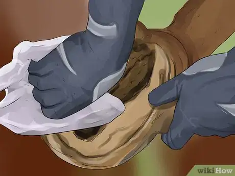 Image titled Care for a Draft Horse Step 9