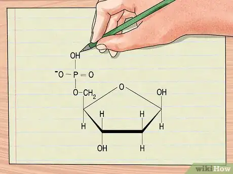 Image titled Understand DNA Structure Step 2