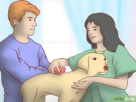 Image titled Get Your Dog Into a Commercial Step 5