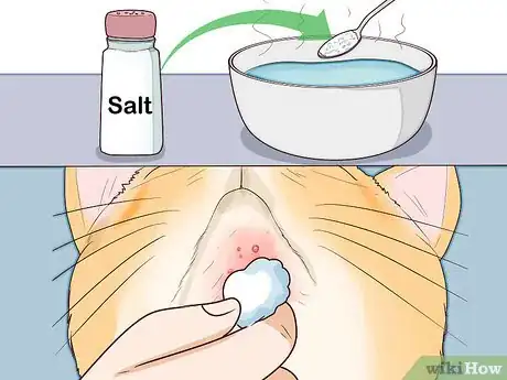 Image titled Treat Feline Acne Step 12