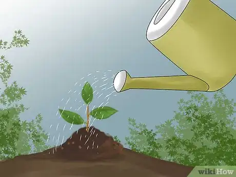 Image titled Replace Your Lawn with Groundcovers Step 12