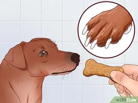 Image titled Put Nail Polish on Your Dog's Nails Step 11