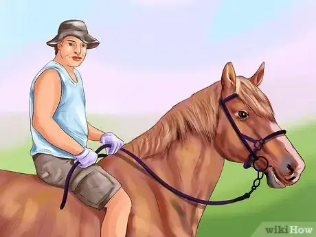 Image titled Care for a Draft Horse Step 8
