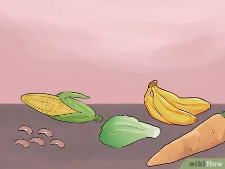 Image titled Feed a Red Bellied Parrot Step 2