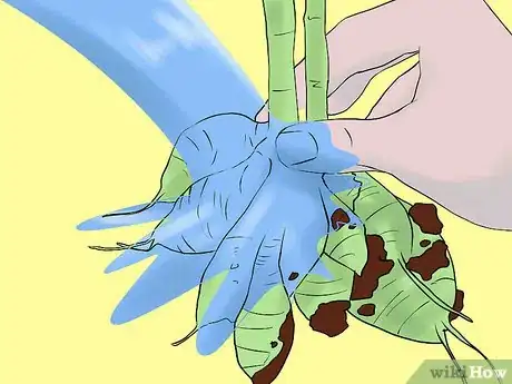 Image titled Overwinter Dahlias Step 4