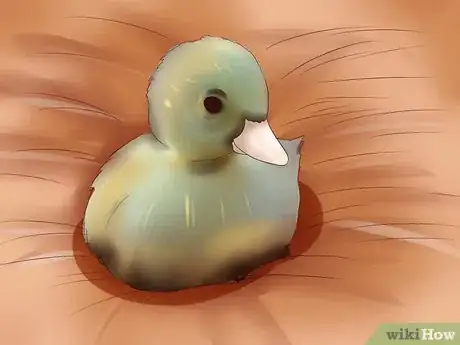 Image titled Make a Viral Video Step 8