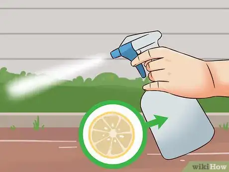 Image titled Help an Indoor Cat Being Tormented by an Outdoor Cat Step 12