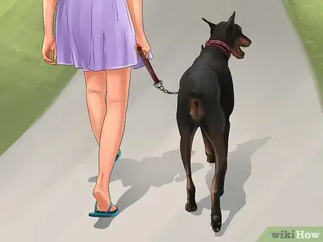 Image titled Train a Manchester Terrier Step 15