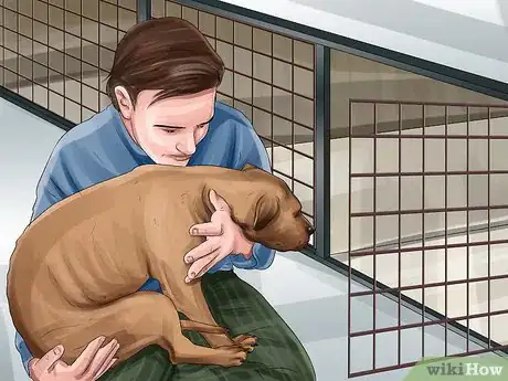 Image titled Adopt a Pitbull Step 8