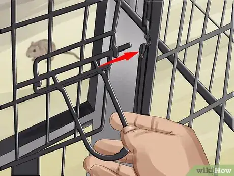 Image titled Catch a Gerbil on the Loose Step 17