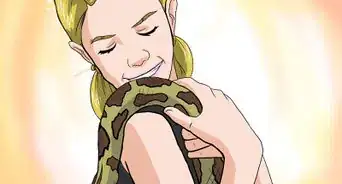 Choose Your First Pet Snake