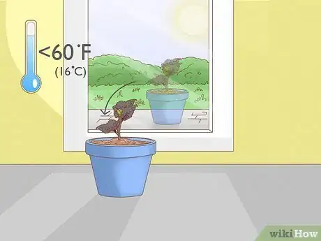 Image titled Plant Begonias in a Pot Step 8