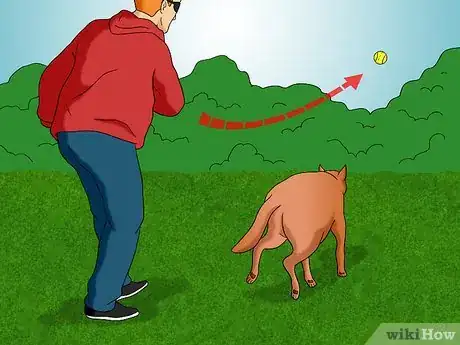 Image titled Keep Your Dog in Shape Step 1