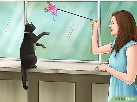 Image titled Stop a Cat from Drinking from Odd Places Step 8