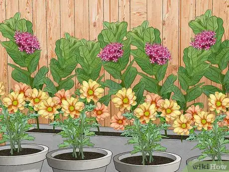 Image titled Attract Assassin Bugs Step 8