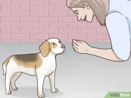 Image titled Choose a Small Dog Step 8