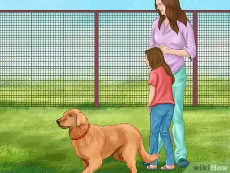Image titled Feel Comfortable Around Big Dogs Step 10
