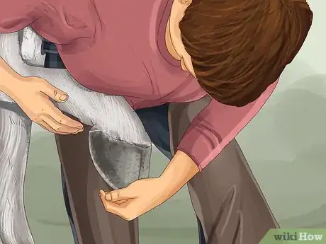 Image titled Know if Your Horse Needs Shoes Step 6