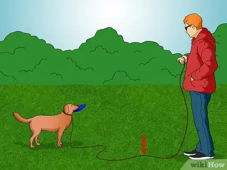 Image titled Keep Your Dog in Shape Step 3